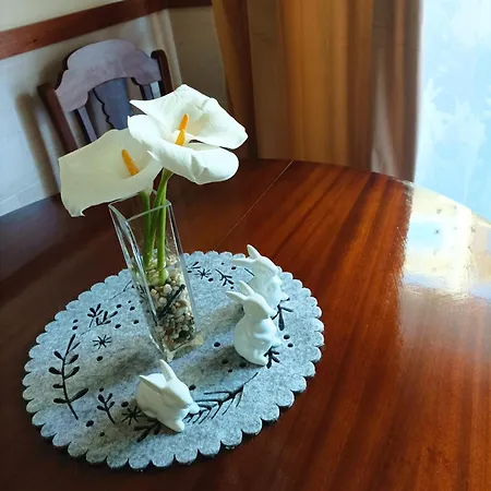 Πανσιόν Cavado Terrace