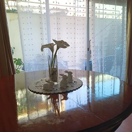 Cavado Terrace בית הארחה